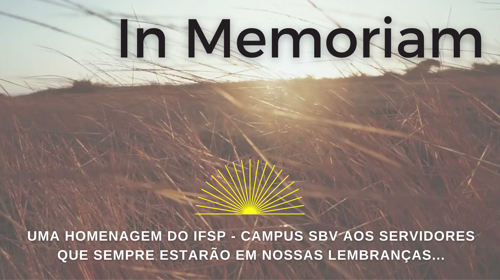 WhatsApp Image 2025 10 09 at 08.46.54