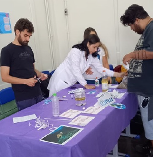 Foto 11 PIN2 Microplásticos